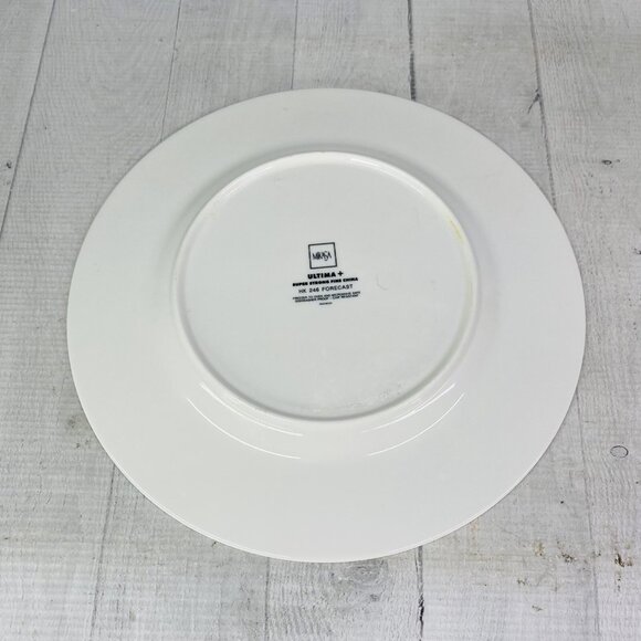 Mikasa HK 246 FORECAST Citrus Strong Chip Resistance China Dinner Plates Set 4 - Picture 9 of 16
